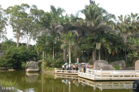 厦门万石山植物园旅游攻略 之 棕榈岛