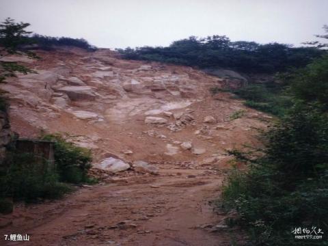 温州飞云湖风景区旅游攻略 之 鲤鱼山