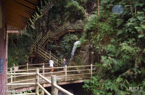 肇庆德庆盘龙峡生态景区旅游攻略 之 森林栈道