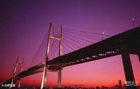 杭州湾跨海大桥旅游攻略 之 大桥夜景