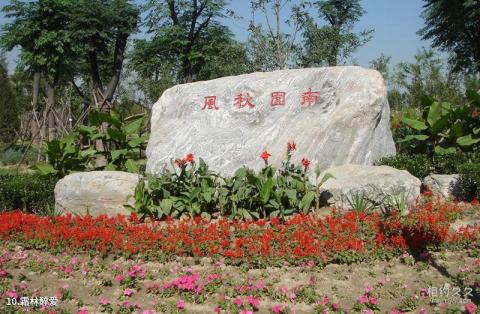 北京南海子公园旅游攻略 之 霜林醉爱