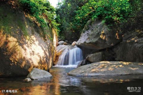 广东罗浮山旅游攻略 之 寿龟戏水