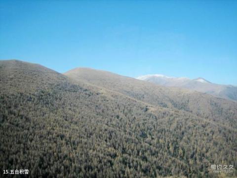 平山驼梁山风景区旅游攻略 之 五台积雪