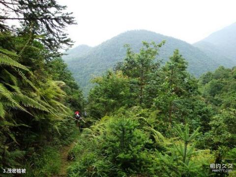 福建九龙漈瀑布旅游攻略