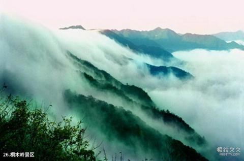 吉安井冈山风景区旅游攻略 之 桐木岭景区