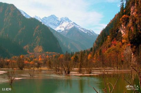 阿坝毕棚沟风景区旅游攻略 之 红叶