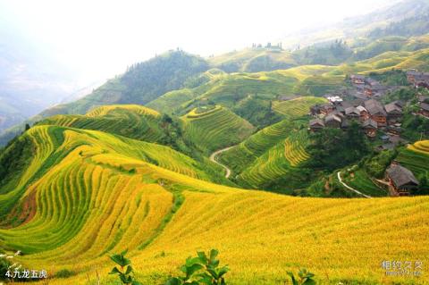 阳朔文化古迹山水园旅游攻略