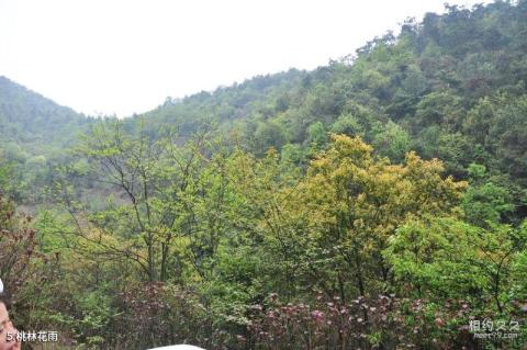 湘潭昭山风景区旅游攻略 之 桃林花雨