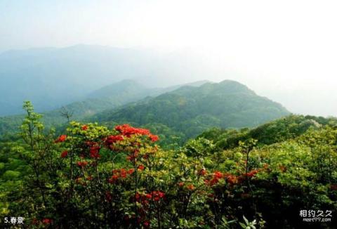 广西岑王老山国家级自然保护区旅游攻略 之 春景