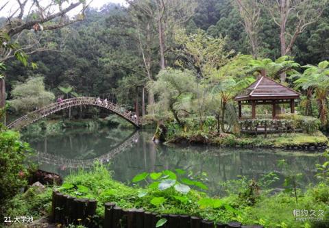 台湾阿里山景区旅游攻略