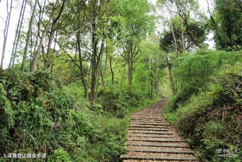 泽雅风景名胜区旅游攻略 之 泽雅登山健身步道