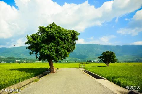 台湾花莲花东纵谷国家风景区旅游攻略 之 池上富里地区