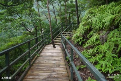 浙江省划岩山风景区旅游攻略 之 木栈道