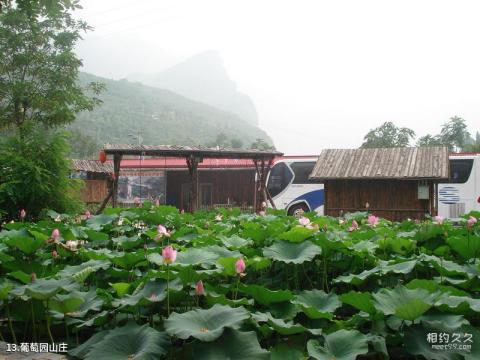 房山十渡风景名胜区旅游攻略 之 葡萄园山庄