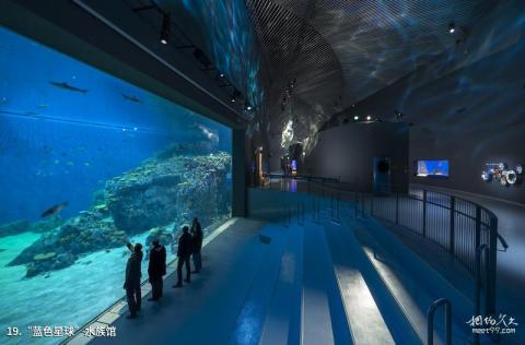 丹麦哥本哈根市旅游攻略 之 “蓝色星球”水族馆