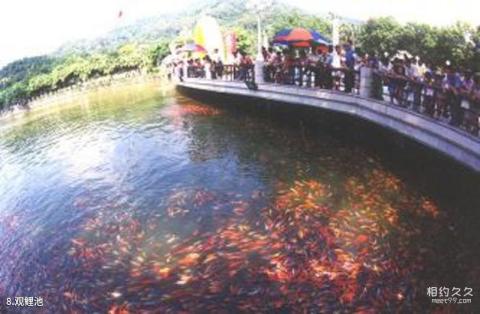 江门圭峰山风景区旅游攻略 之 观鲤池