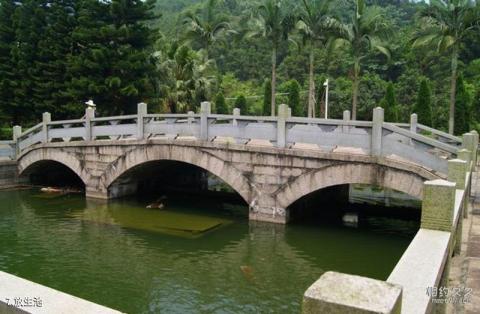 福建黄檗山万福寺风景区旅游攻略 之 放生池