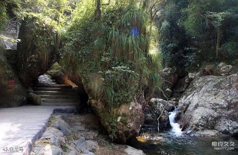 遂昌千佛山自然风景区旅游攻略 之 白龙马