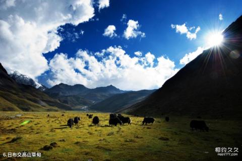 贡嘎山风景名胜区旅游攻略 之 日布交高山草甸