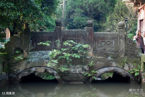 重庆北温泉风景区旅游攻略 之 戏鱼池