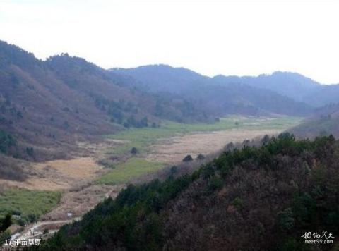 临安大明山风景区旅游攻略 之 千亩草原