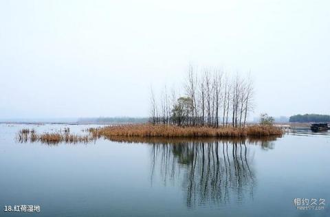 济宁微山湖风景名胜区旅游攻略 之 红荷湿地