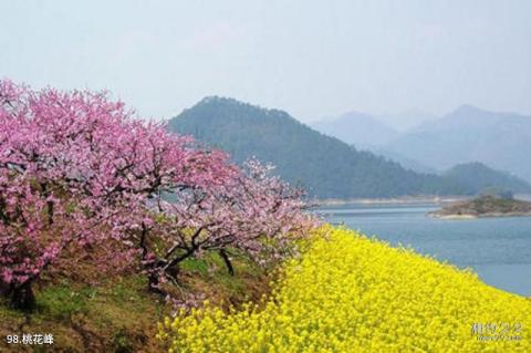 黄山风景区旅游攻略 之 桃花峰