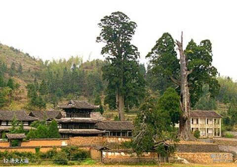 景宁草鱼塘森林公园旅游攻略 之 汤夫人庙