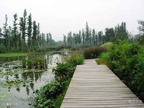 西溪国家湿地公园旅游攻略 之 蒹葭泛月