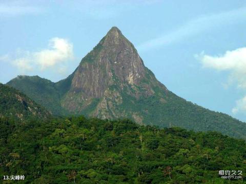 尖峰岭热带雨林旅游攻略 之 尖峰岭