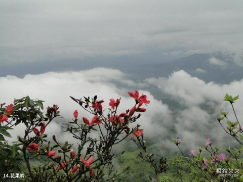 福建宝山风景名胜区旅游攻略 之 花果岭