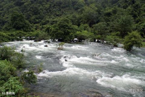 荔波茂兰喀斯特森林旅游攻略 之 黄杨沟