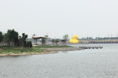 东营鸣翠湖湿地风景区旅游攻略 之 湿地