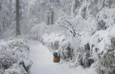 杭州东明山森林公园旅游攻略 之 东明山冬雪