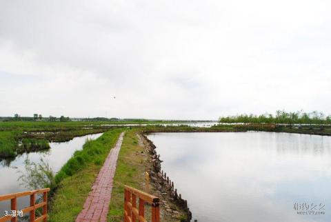 哈尔滨白鱼泡湿地公园旅游攻略 之 湿地