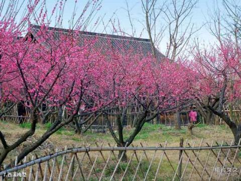 西溪国家湿地公园旅游攻略 之 西溪梅墅