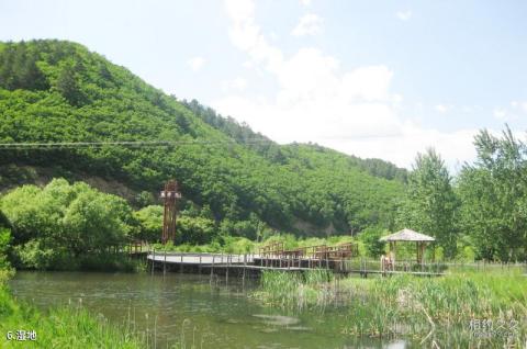 黑龙江凤凰山国家级自然保护区旅游攻略 之 湿地