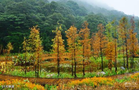 从化石门国家森林公园旅游攻略 之 红枫湖