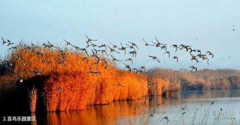 宁夏沙湖旅游景区旅游攻略 之 百鸟乐园景区