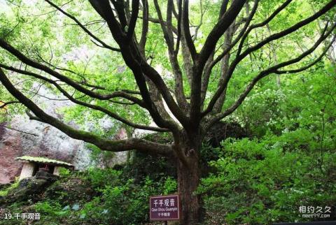 江西汉仙岩风景区旅游攻略 之 千手观音