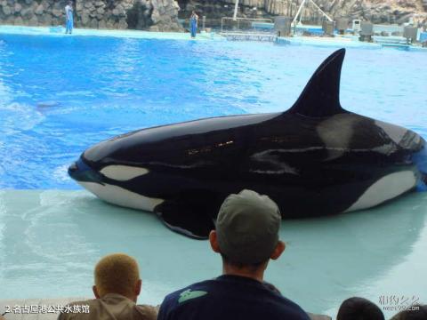 日本名古屋旅游攻略 之 名古屋港公共水族馆