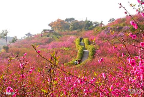 佛山西樵山风景区旅游攻略 之 桃花园