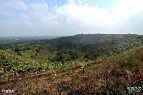 海口石山火山群旅游攻略 之 雷虎岭