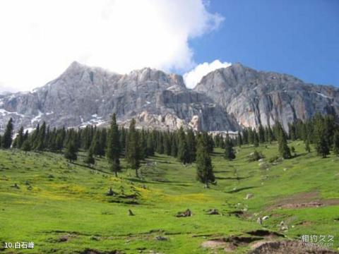 新疆伊犁河谷旅游攻略 之 白石峰