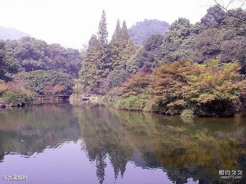 杭州西湖风景名胜区旅游攻略 之 九溪烟树