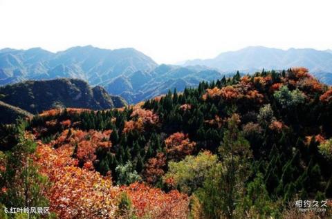 北京八达岭国家森林公园旅游攻略 之 红叶岭风景区