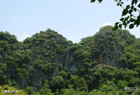 兴业鹿峰山风景区旅游攻略 之 鹿峰山石林