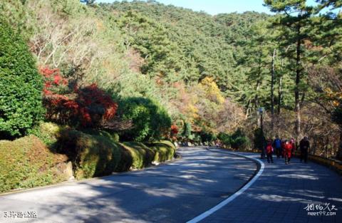 韩国太宗台景区旅游攻略 之 环岛公路