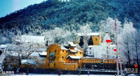 九华山风景名胜区旅游攻略 之 祇园寺