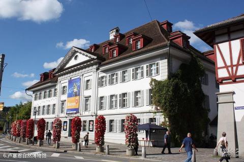 瑞士卢塞恩旅游攻略 之 卢塞恩自然博物馆